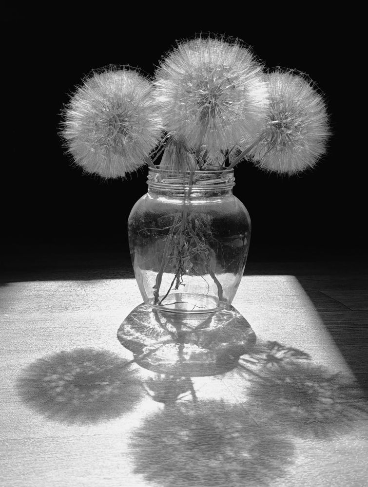 Photograph by Людмила Прибылова