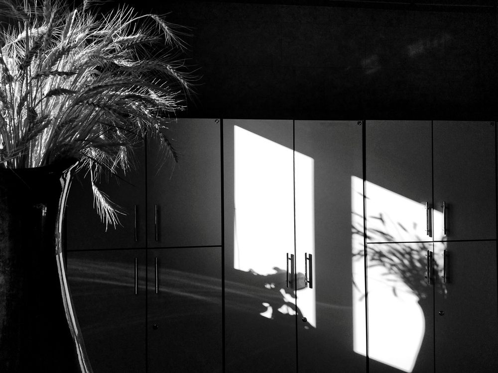 Photograph by Людмила Прибылова