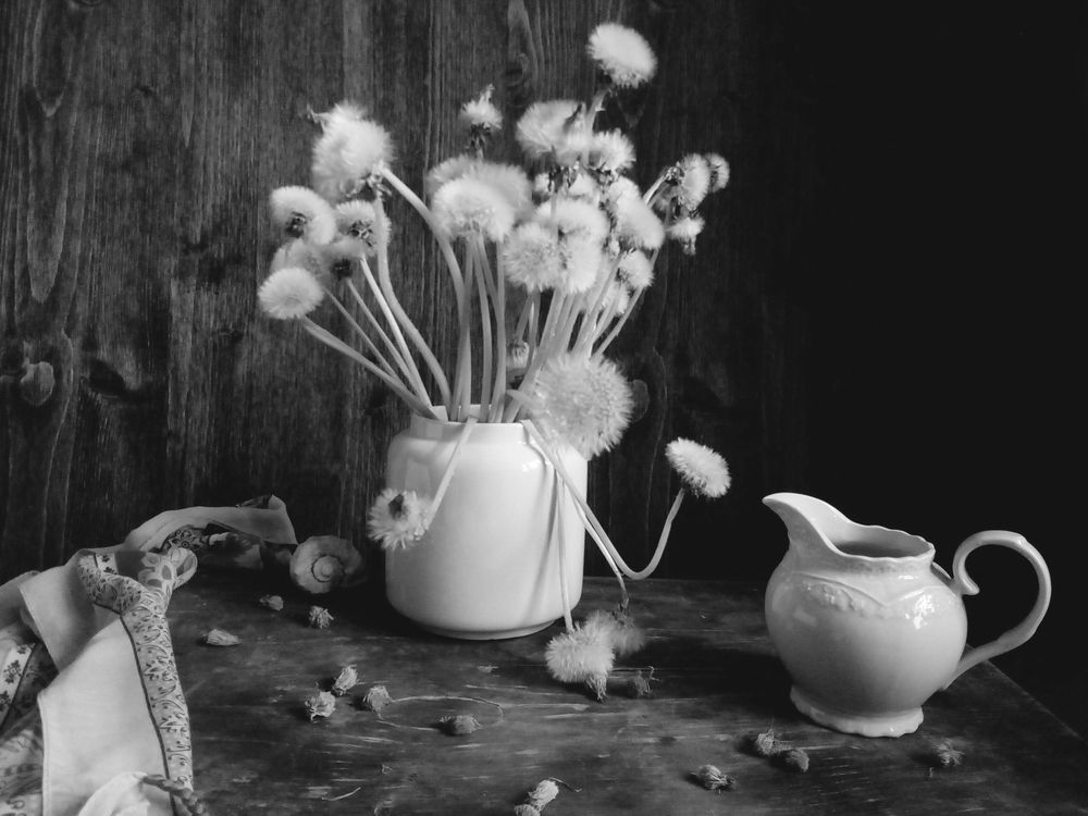 Photograph by Курочкина Диана