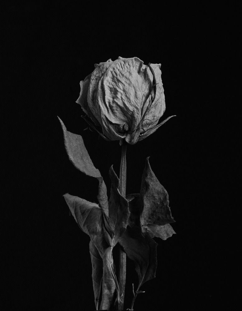 Photograph by Pavel Komyakov