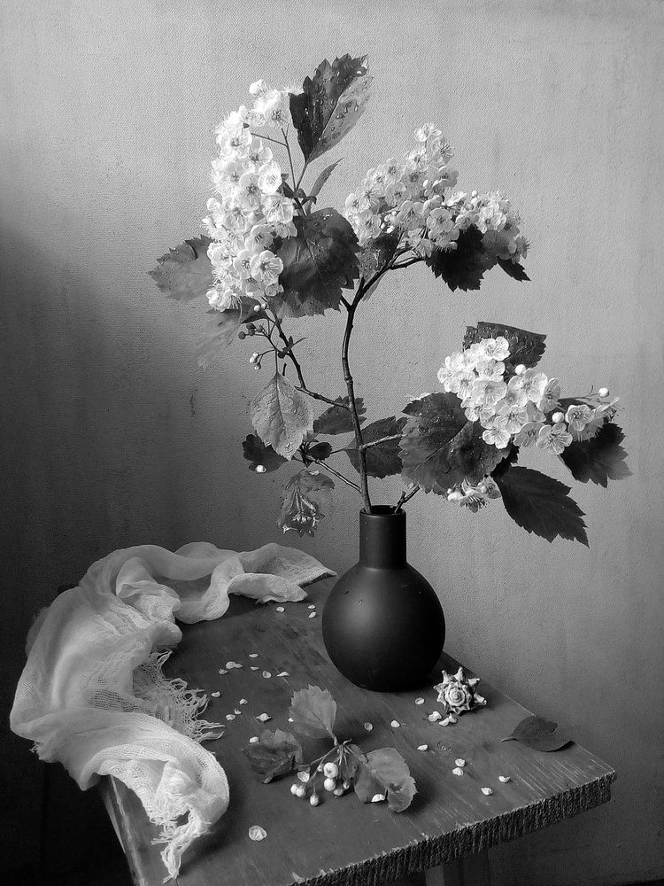 Photograph by Курочкина Диана