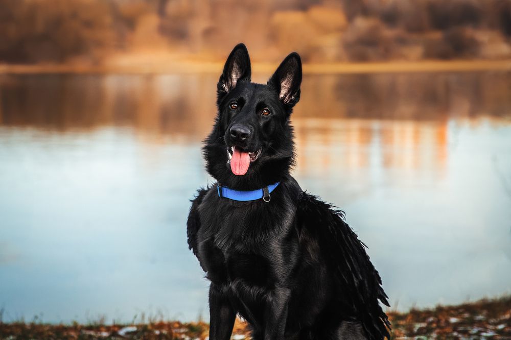 Photograph by Елена Вьюркова