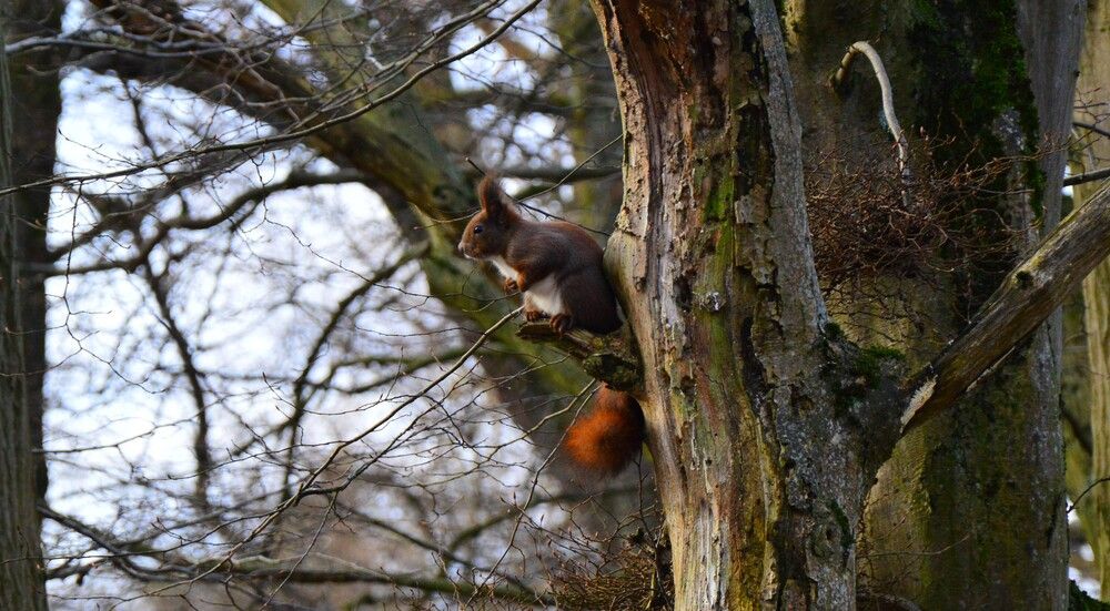 Фотография автора Artem Suloev