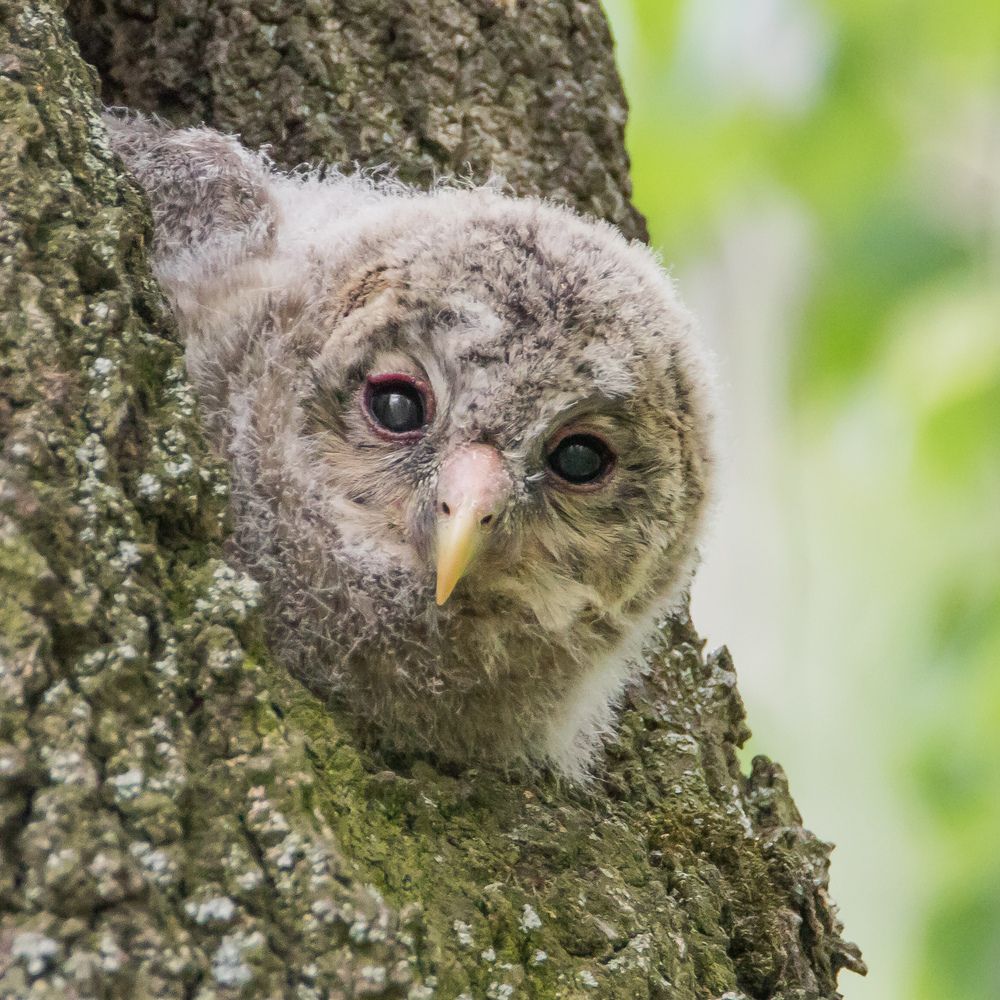 Фотография автора Суслов Дмитрий