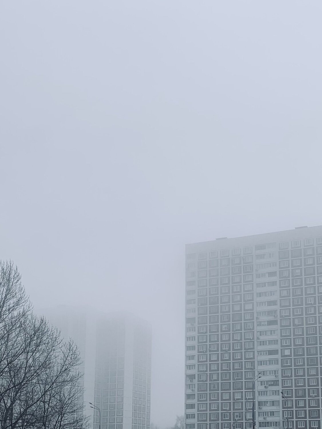 Photo #11878560