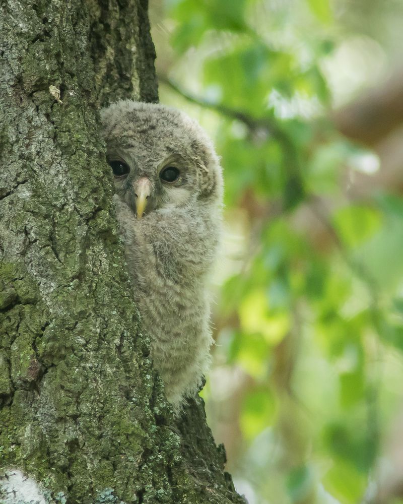 Фотография автора Суслов Дмитрий