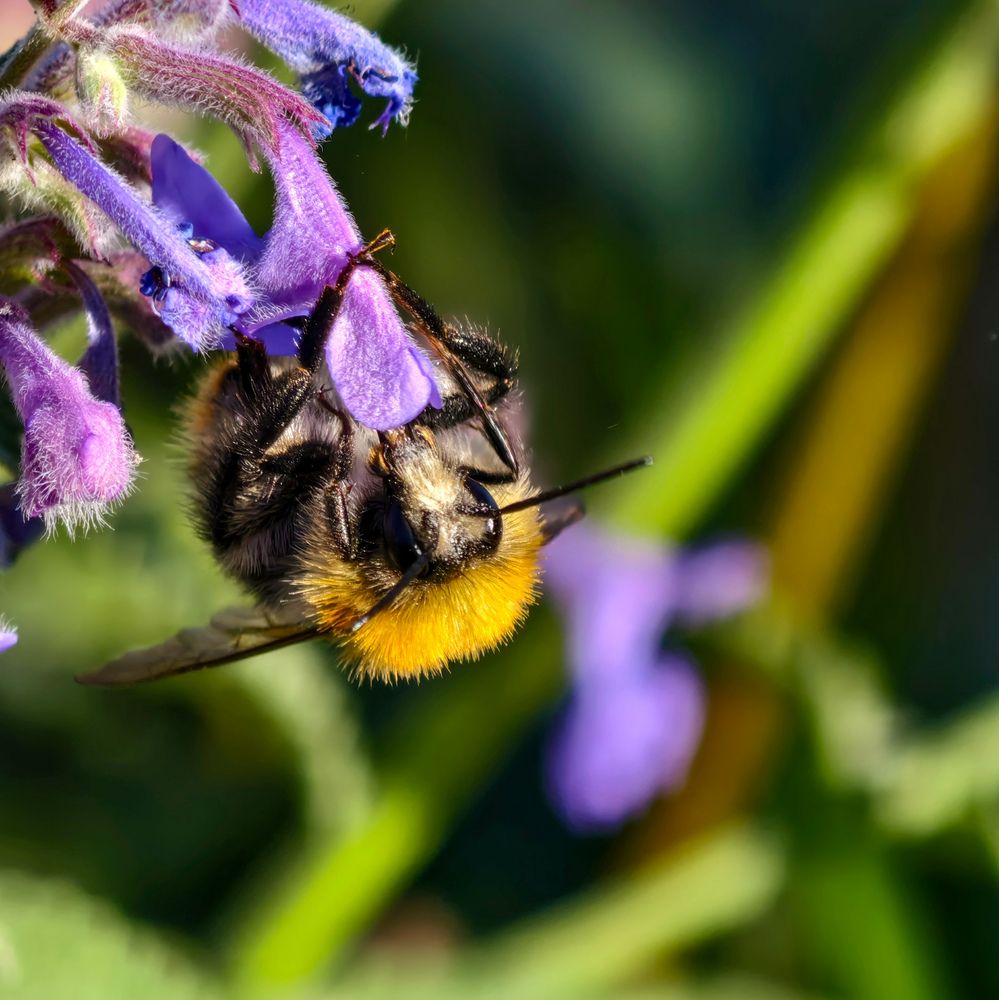 Photograph by Евгений Порсов