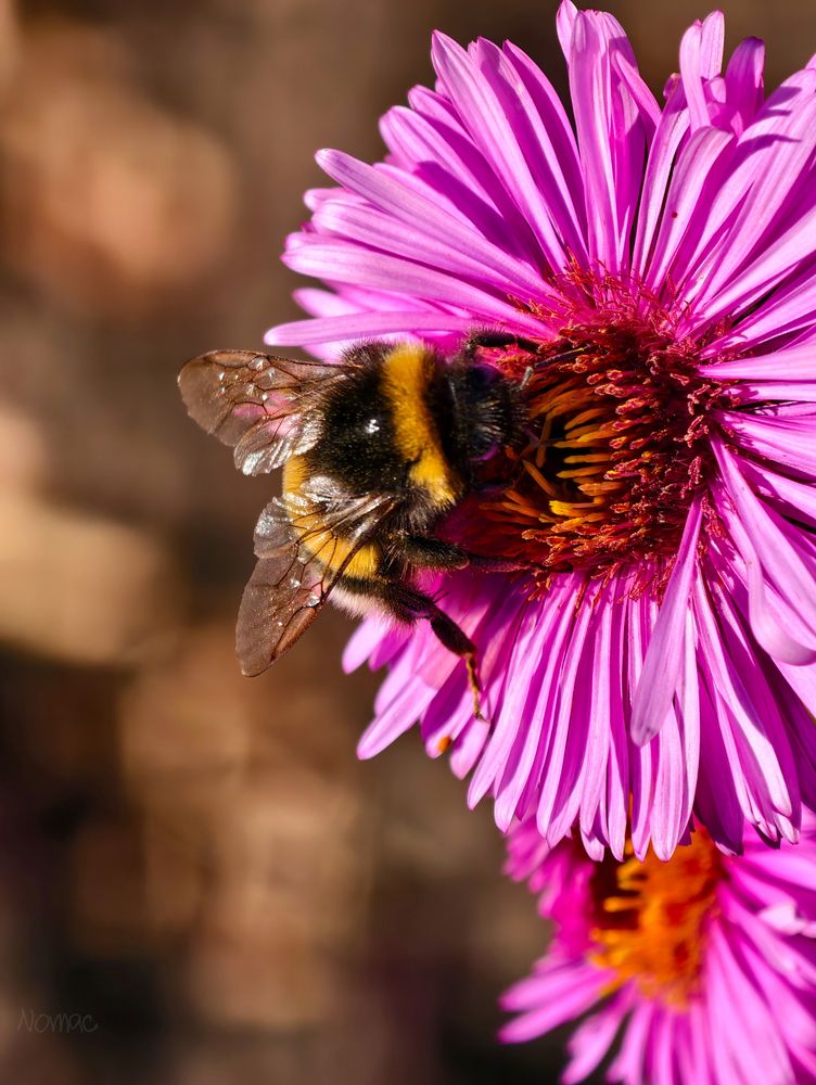 Photograph by Евгений Порсов