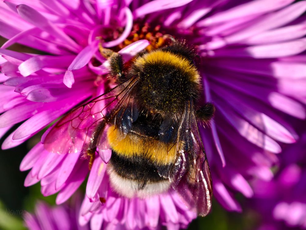 Photograph by Евгений Порсов