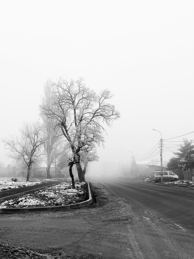 Photograph by Светлана Смирнова