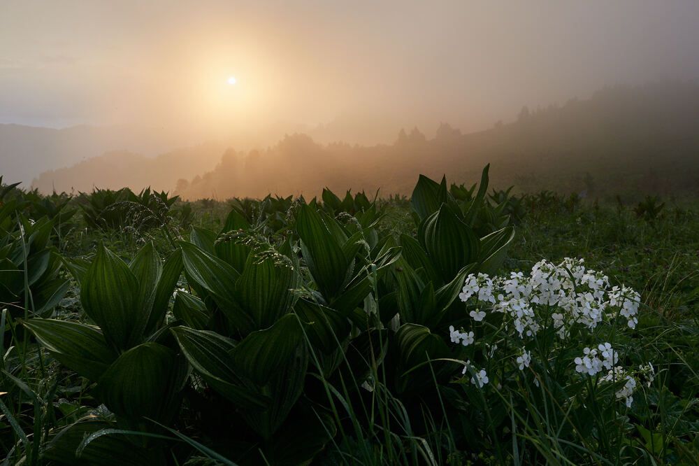 Photograph by Александр Авдушев