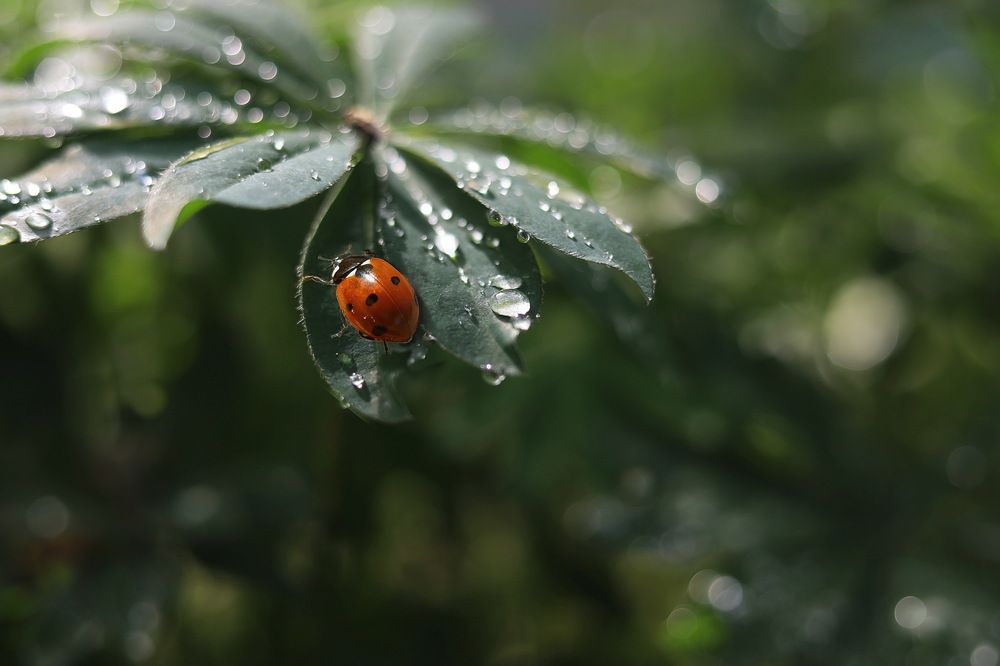 Photograph by Александр Кордюков