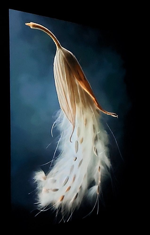 Photograph by Yulia Rotbach