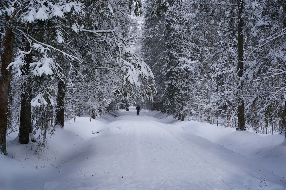 Photograph by Елена