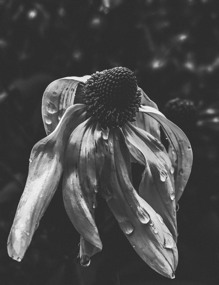 Photograph by Yulia Ocean