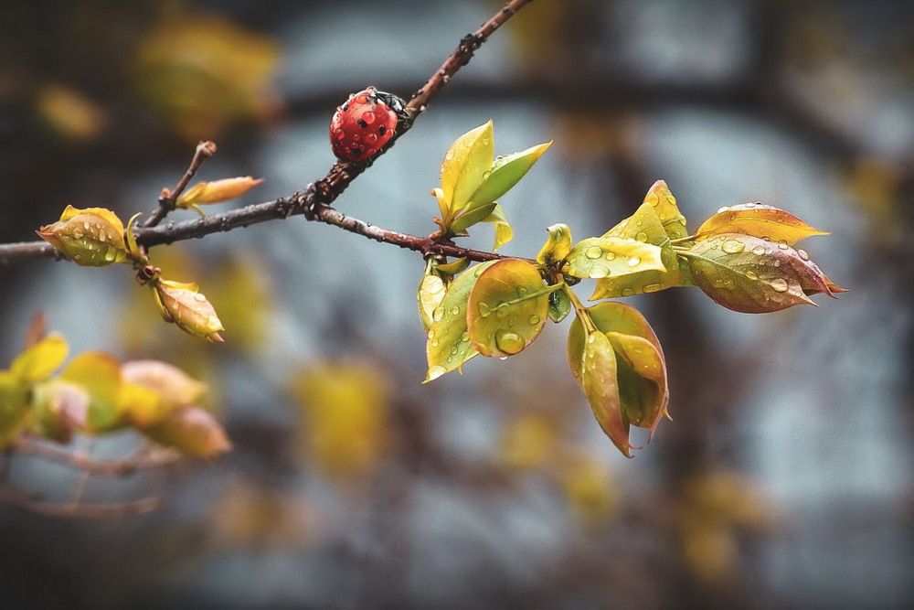 Photograph by Александр Кордюков