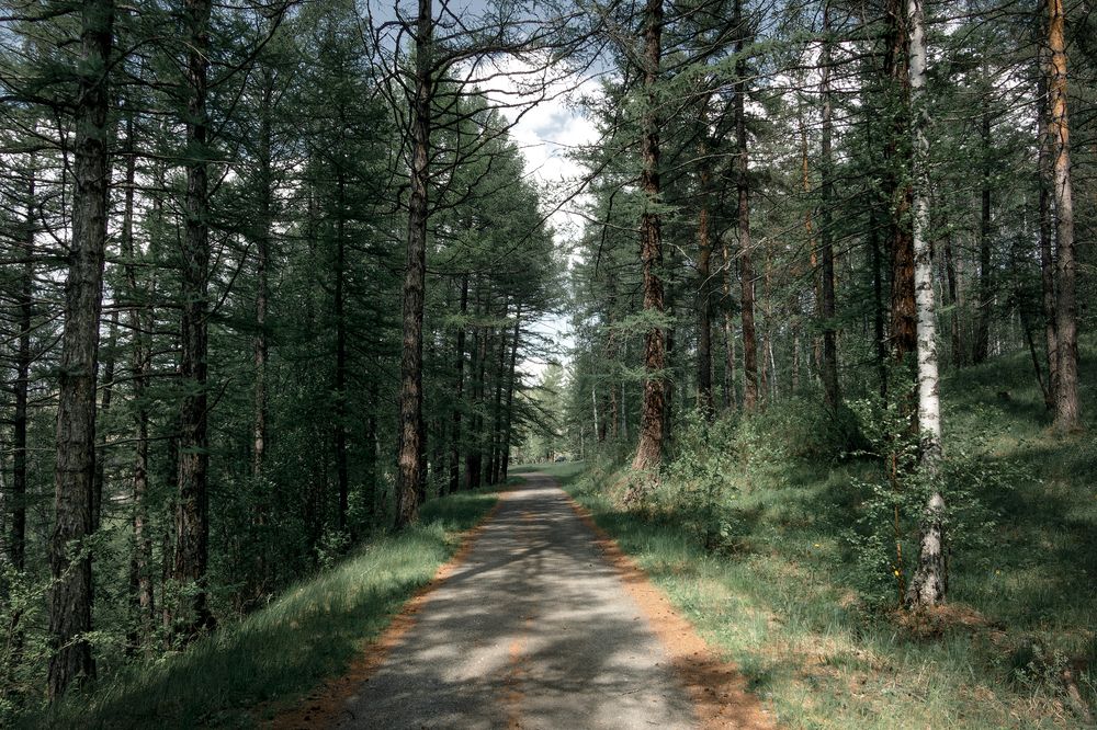 Photograph by Иван Сазыкин