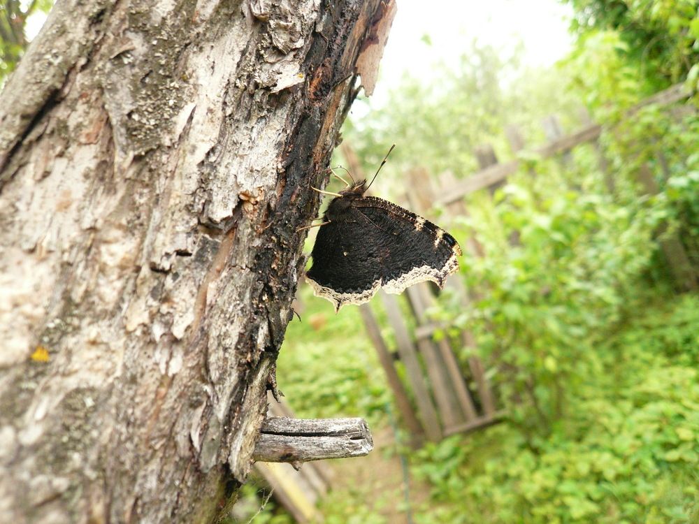 Фотография автора Клавдия Васильева