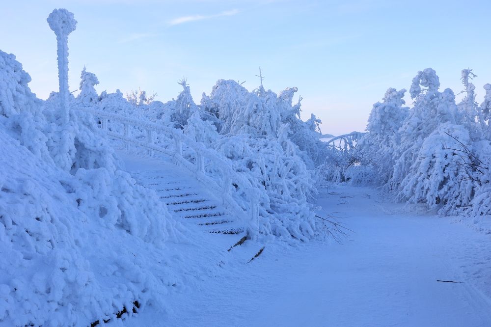 Photograph by Maxim Butz