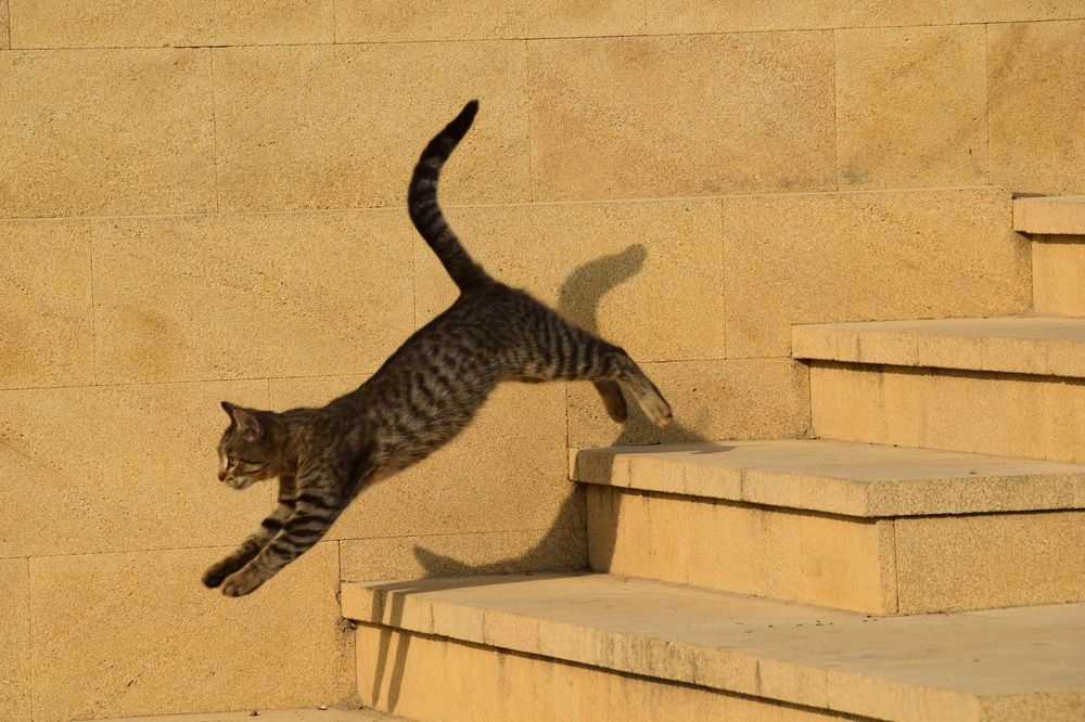 Photograph by Дмитрий