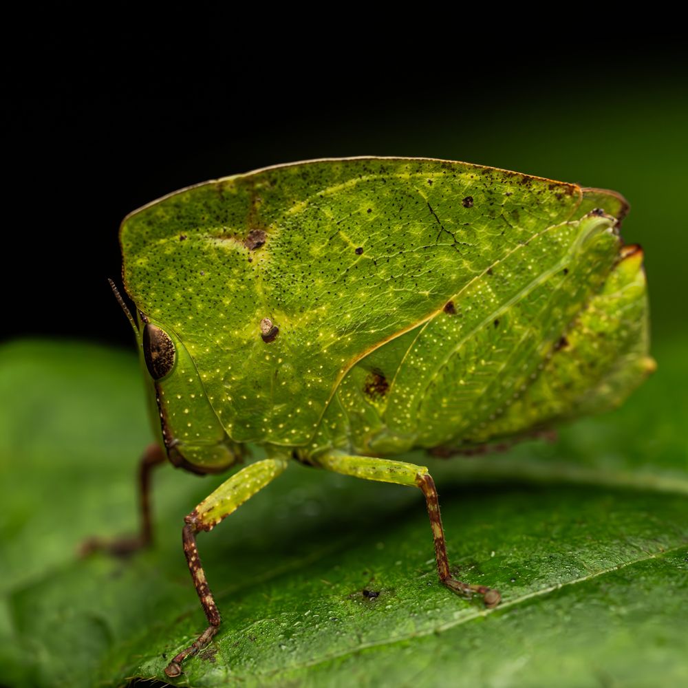 Photograph by Prasad Hamine