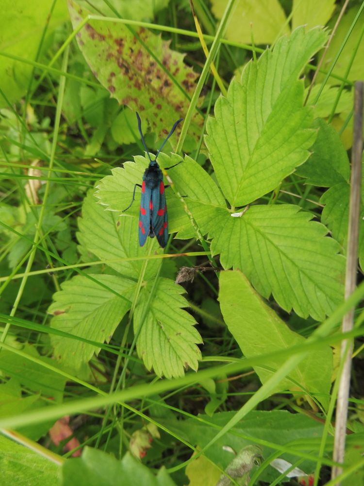 Фотография автора Клавдия Васильева