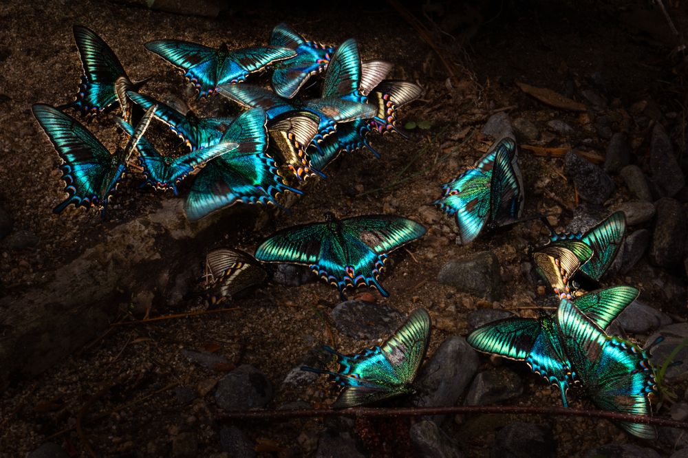 Photograph by Ольга Мусиенко