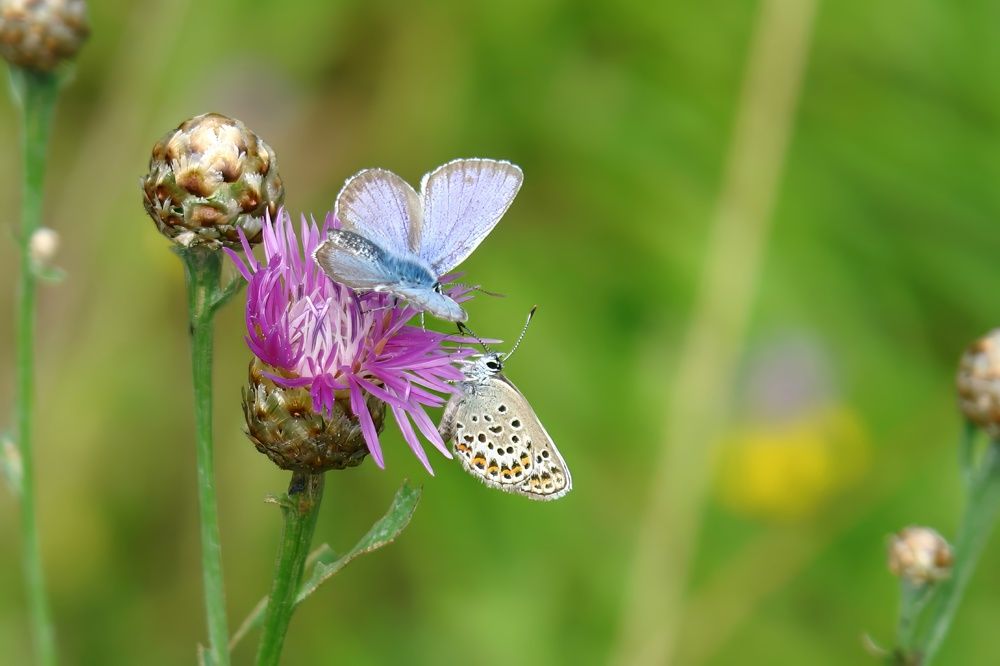 Photograph by Алексей Курносов