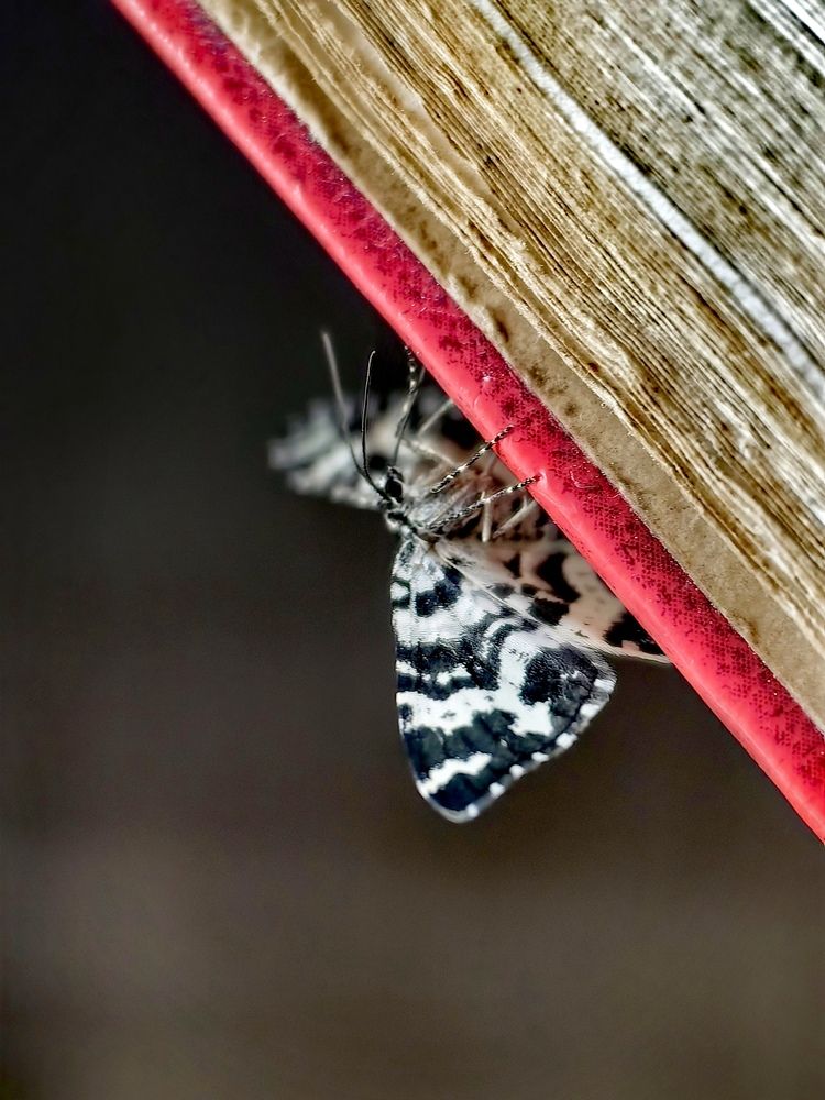 Photograph by OLGA MIKHNEVICH