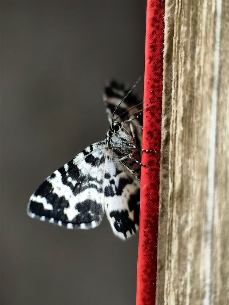 Photograph by OLGA MIKHNEVICH