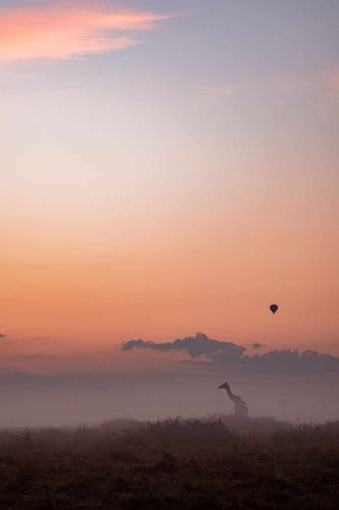 Photograph by Prasad Hamine