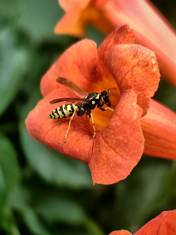 Photograph by OLGA MIKHNEVICH