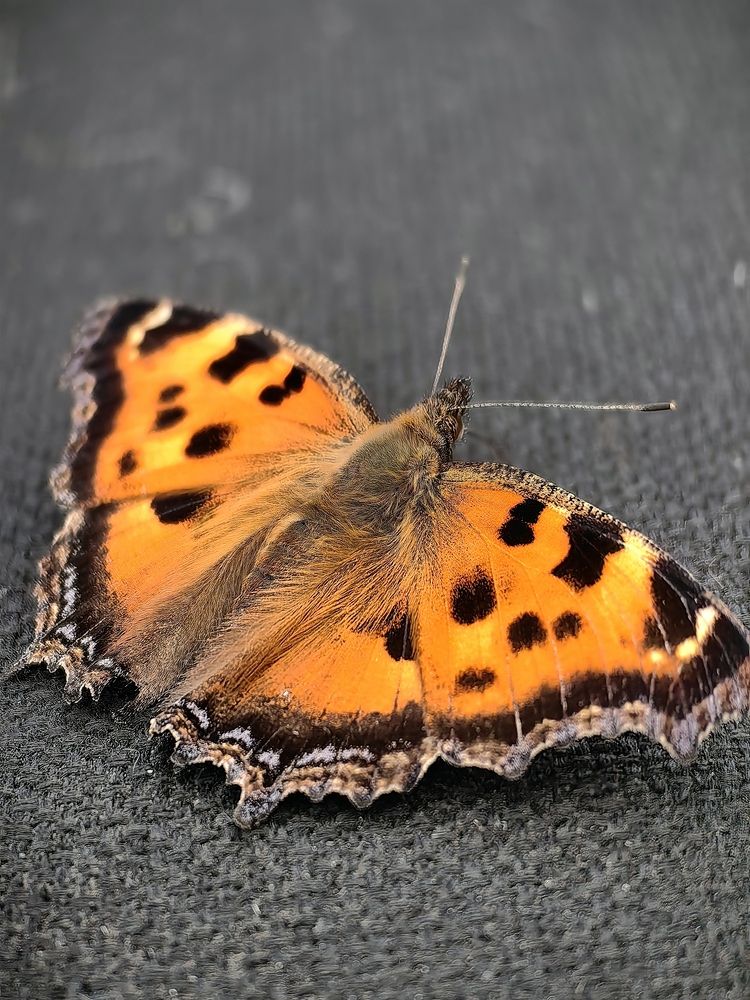 Photograph by OLGA MIKHNEVICH