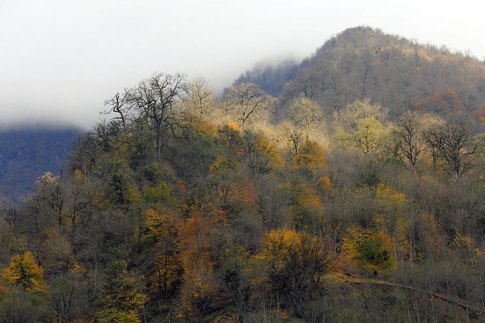 Photograph by Javad Tafti Farashah