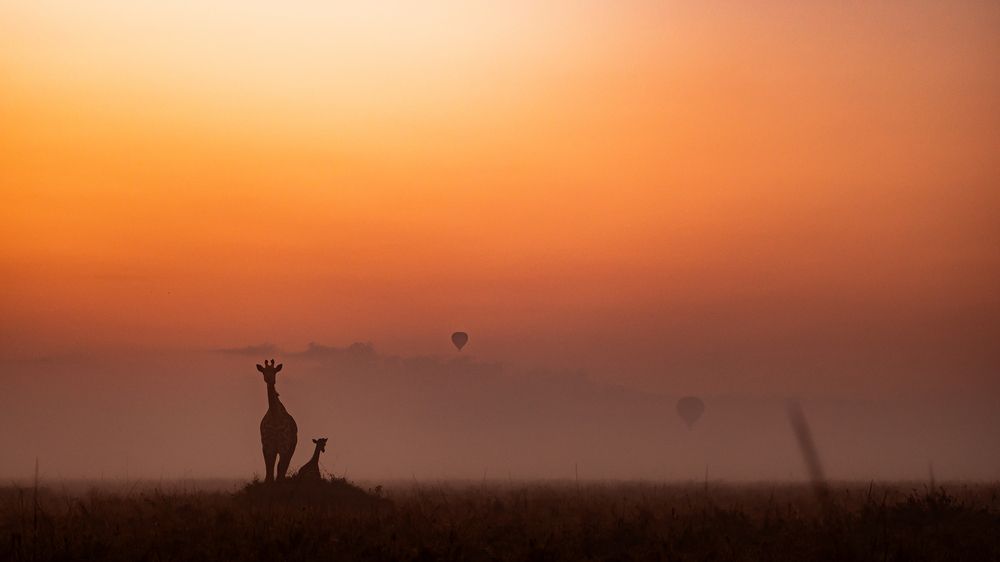 Photograph by Prasad Hamine