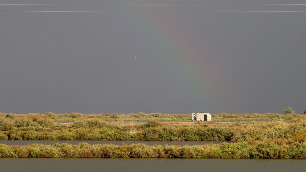 Photograph by JOÃO COSTA