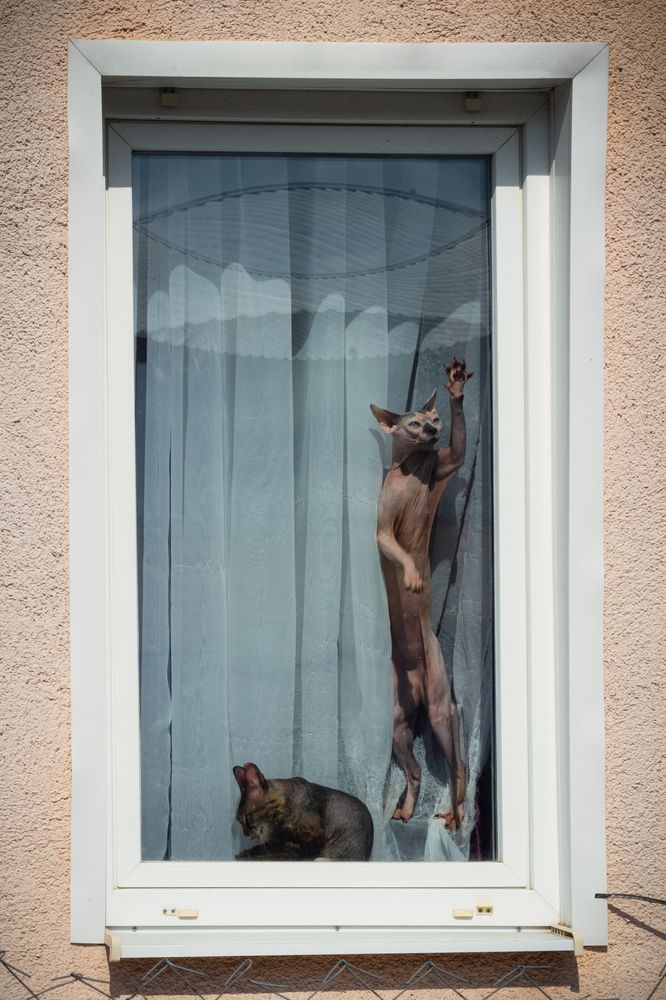 Photograph by Tatiana Shtun