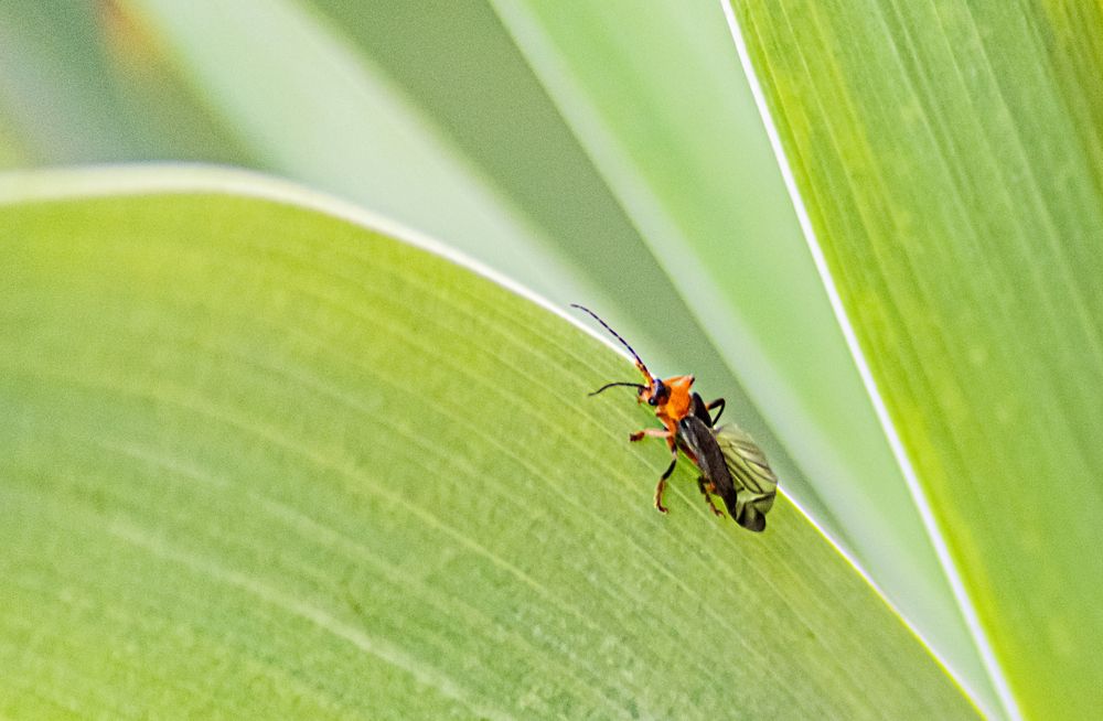 Photograph by Давлеева Эльза