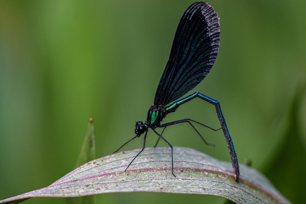 Photograph by Борис Лишневский