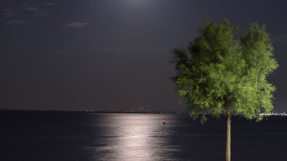 Photograph by JOÃO COSTA
