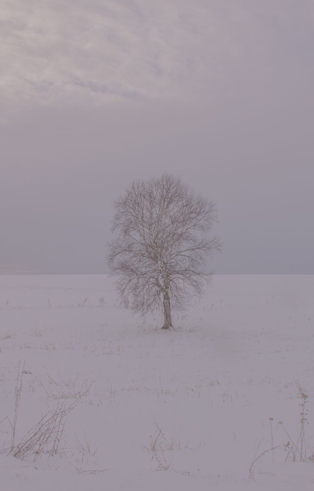 Photograph by Зифа Мингалимова