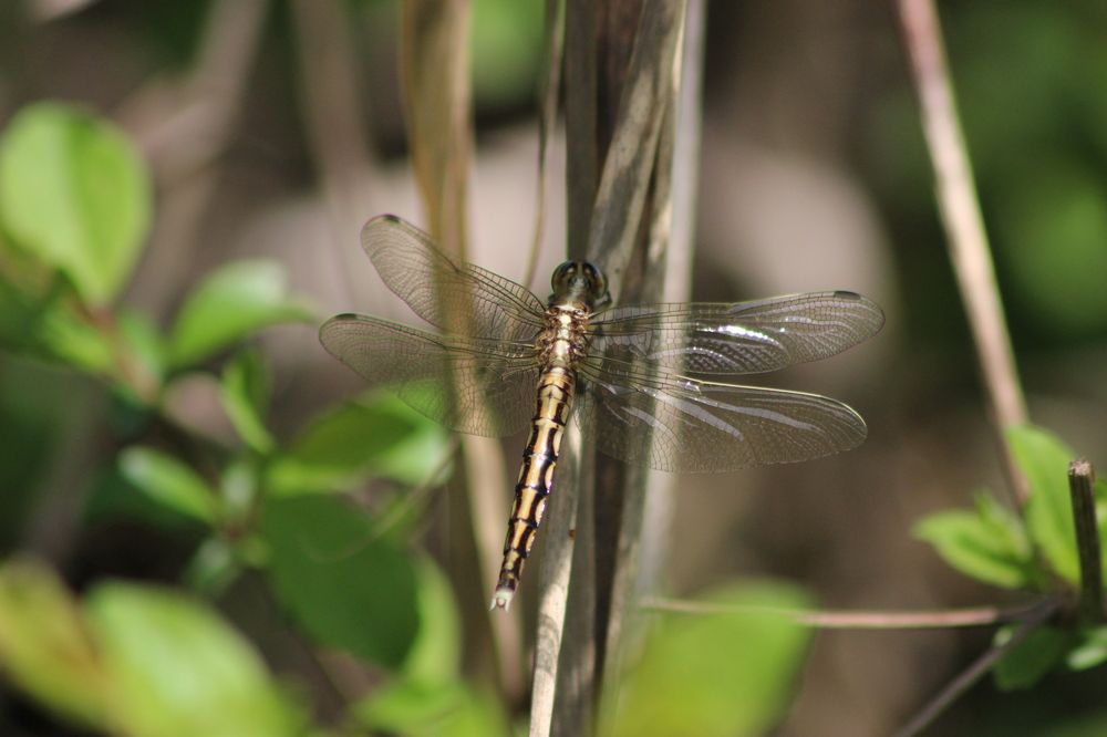 Photograph by MariaVittoria Amoruso