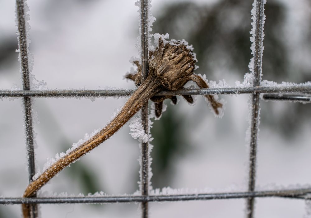 Photograph by Олег Алексеев