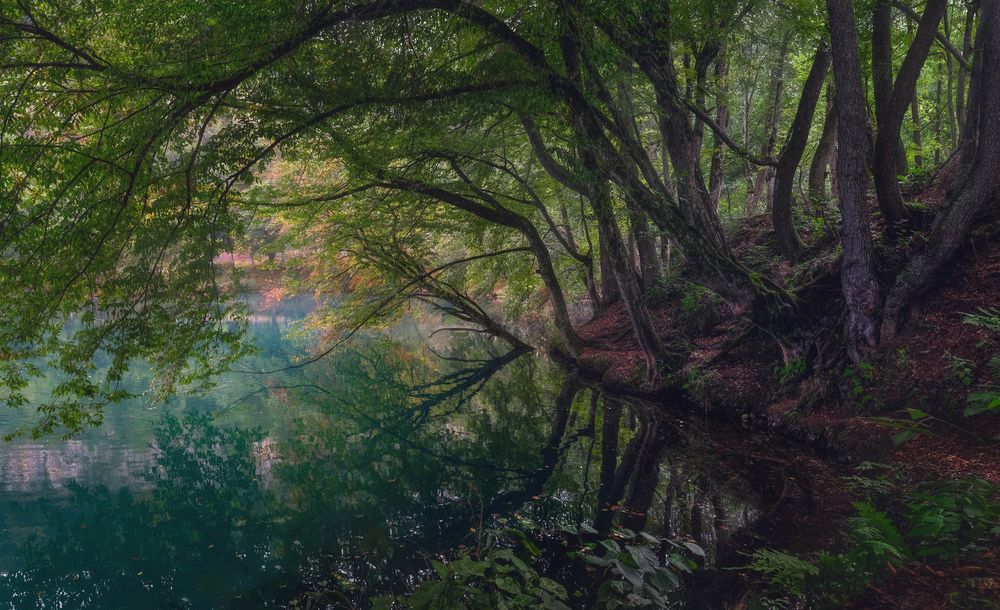 Фотография автора Алексей Бордуков