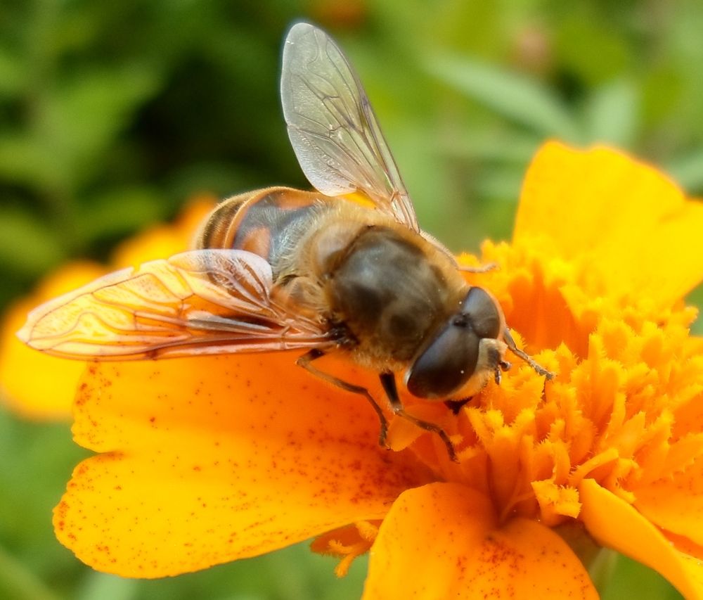 Photograph by Михаил Сербаев