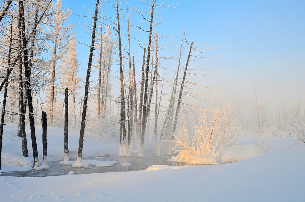 Мороз и солнце.