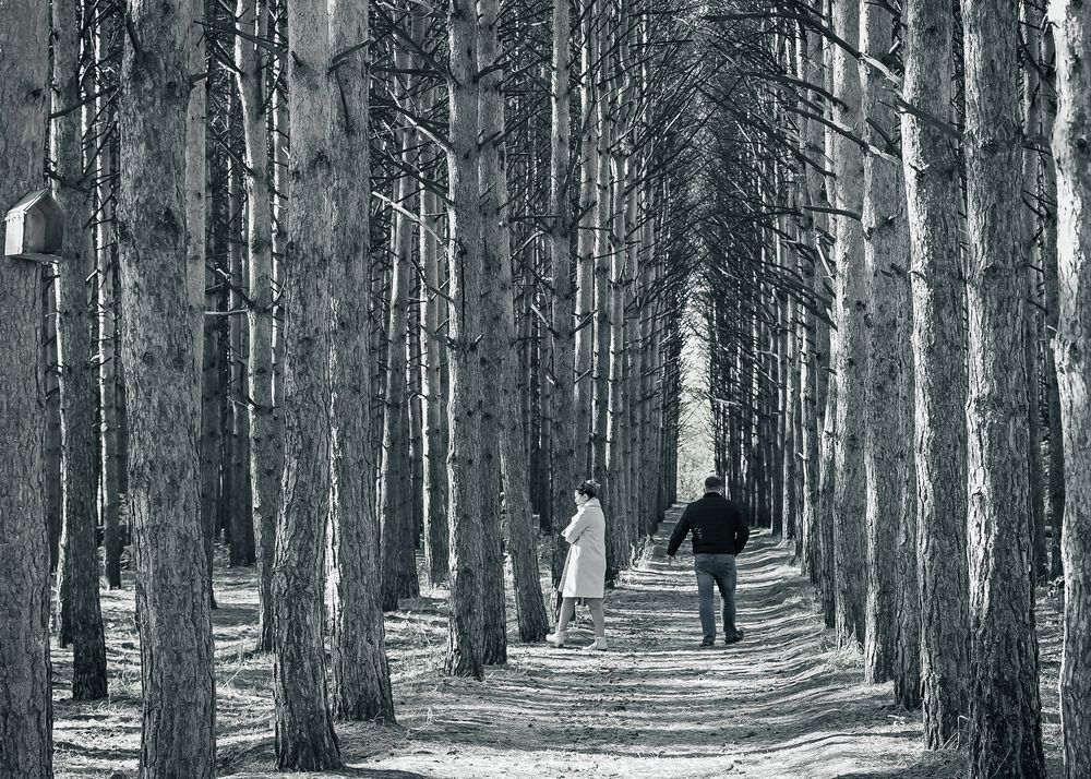 Photograph by Андрей Чернышов