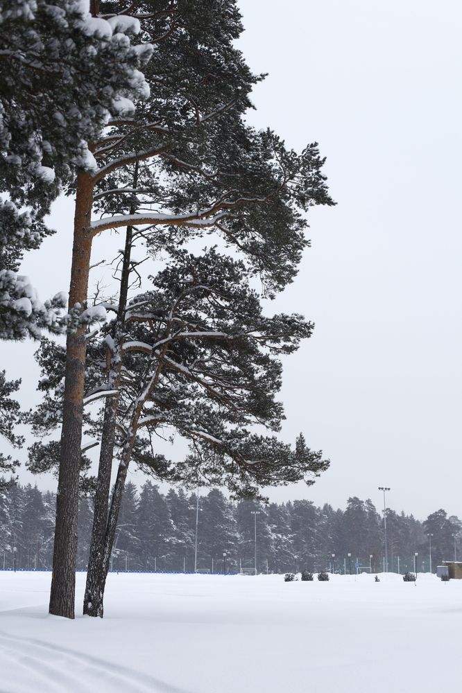 Photograph by Юлия Горчакова