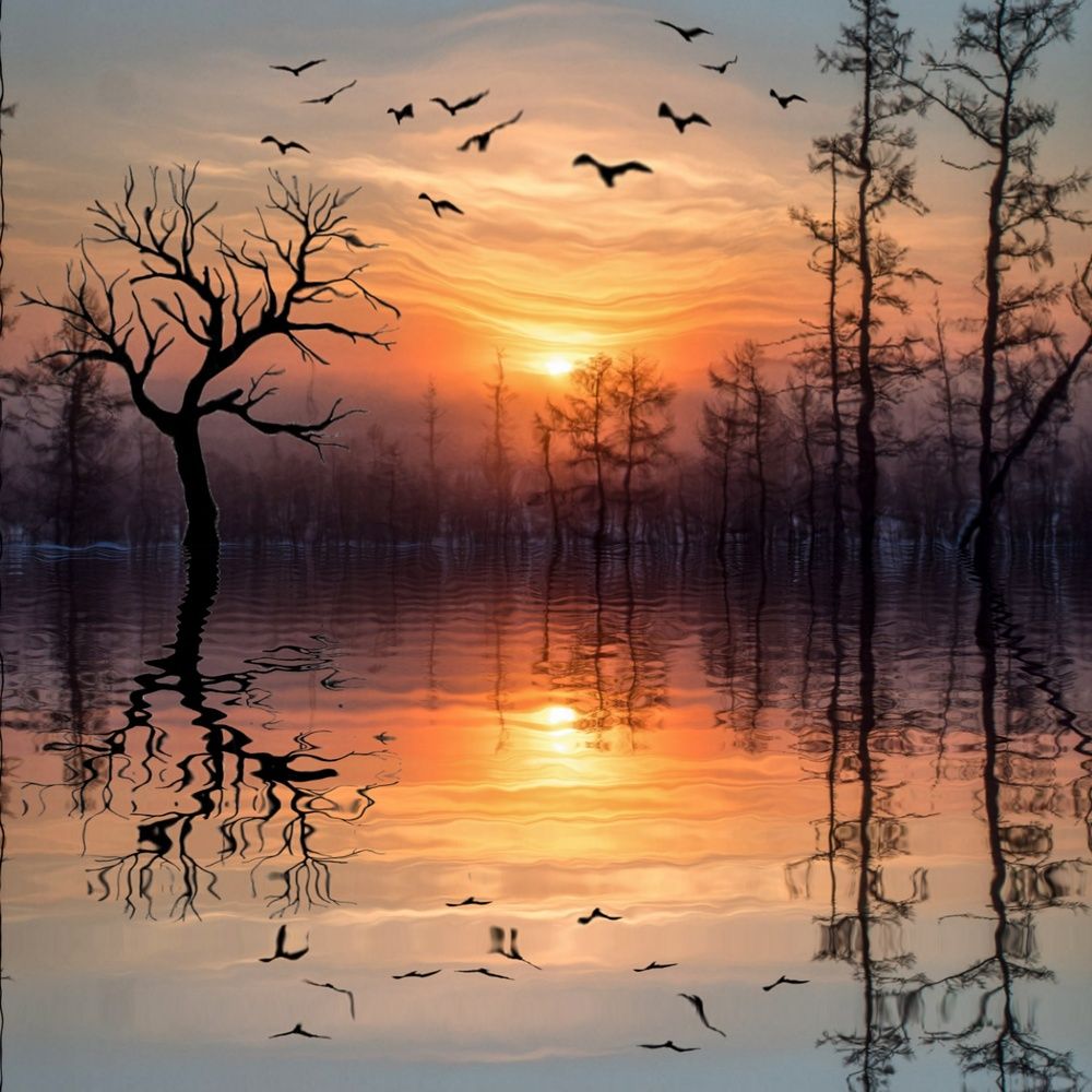 Photograph by Михаил Мархинин