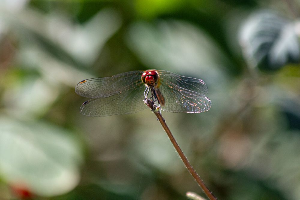 Photograph by Полина Фрольцова